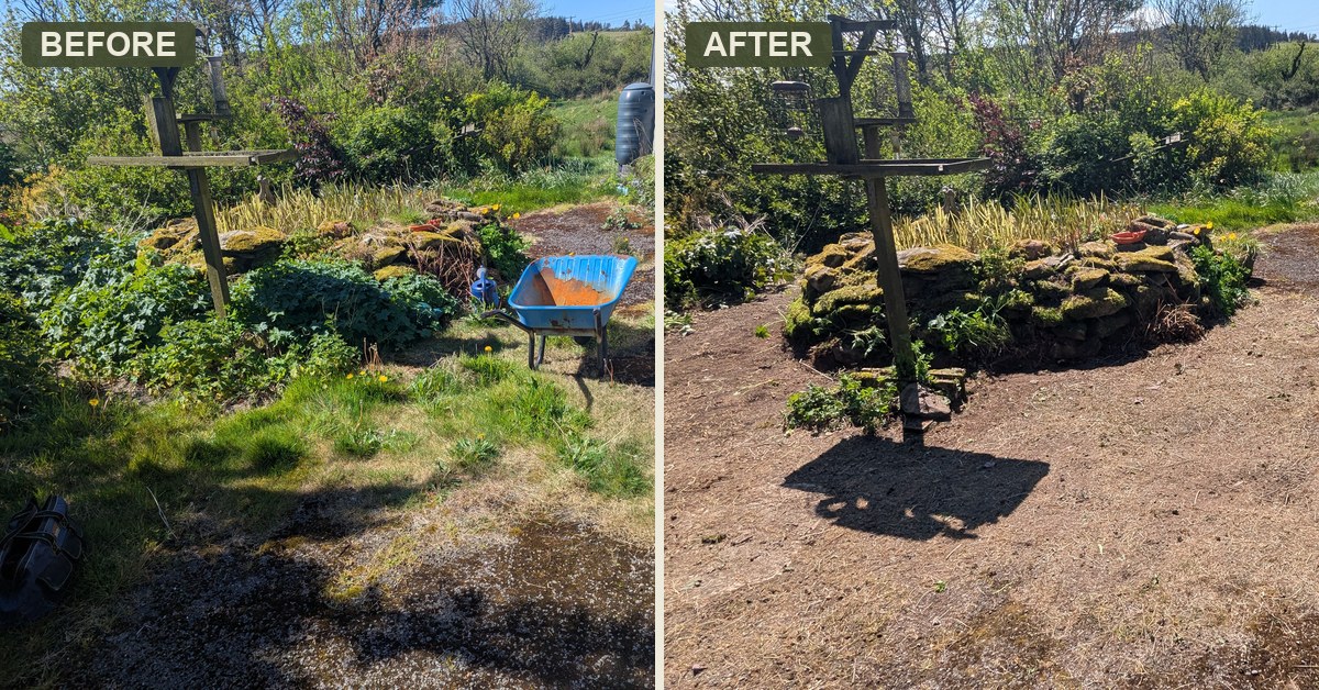 A neglected driveway and pond cleared, restoring garden access, Crymych