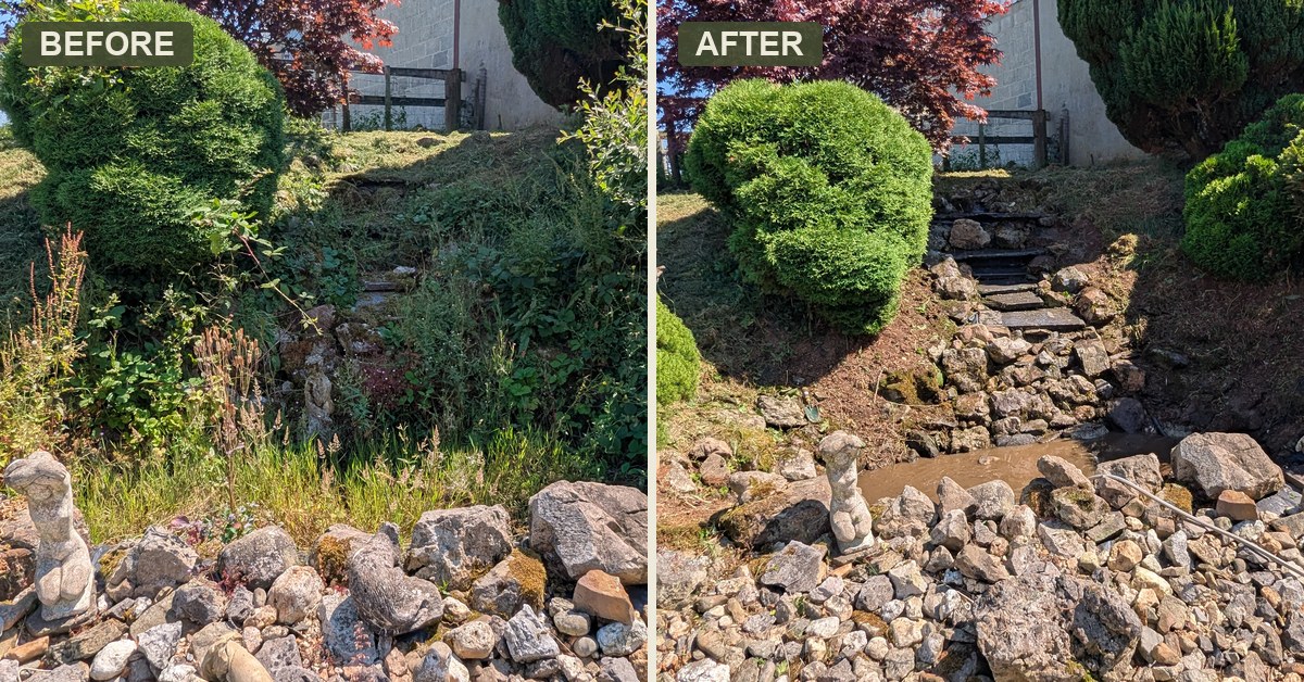 A garden pond and stream brought back to life, near Whitland