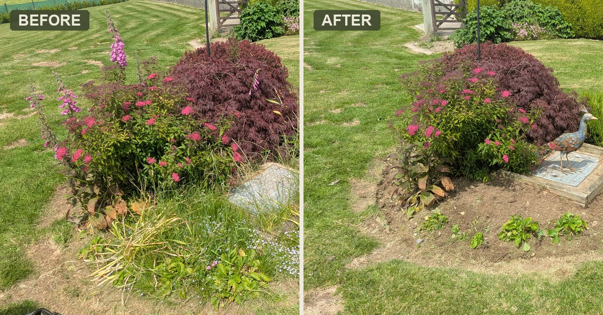 A garden tidy before the house goes on market, near Whitland